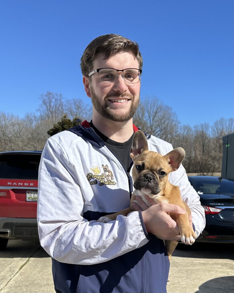 French Bulldog Puppies for Sale in Windsor, Virginia
